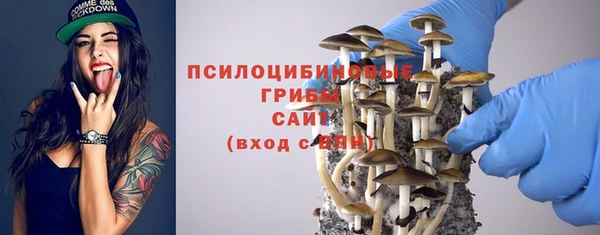 apvp Бугульма