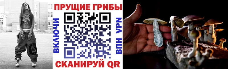 Псилоцибиновые грибы Magic Shrooms  купить  сайты  Чита 